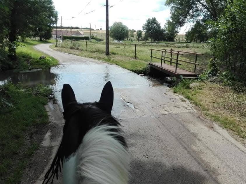 Balade à cheval sur les chemins au départ de l'écurie